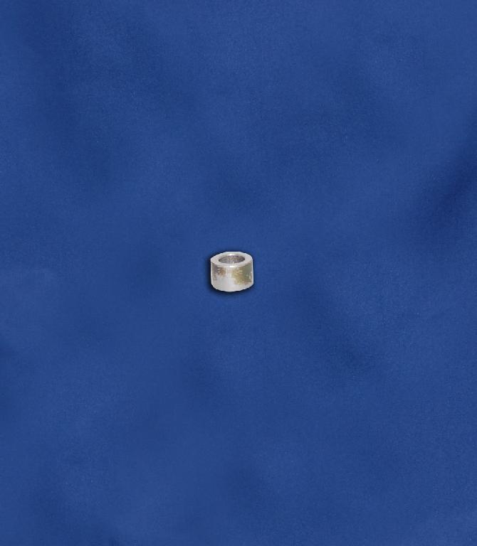 Bushing-Backlash Pin Stop